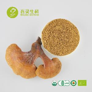 Hot Sale Benefits of Ganoderma Lucidum Capsules Reishi Mushroom Powder