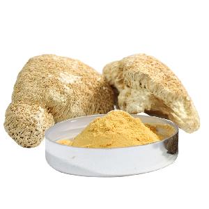 Free samples 100% Natural Organic Lion's Mane Mushroom Powder Hericium Erinaceus Extract Powder food Supplements
