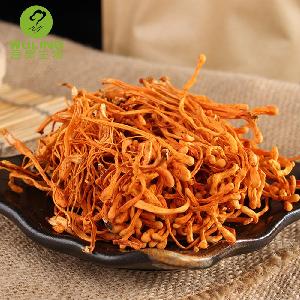 Top quality 100% organic pure cordyceps extract powder, 3% cordycepine militaris to protect liver