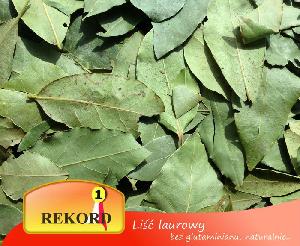 Bay leaf Laurus nobilis - spices importers