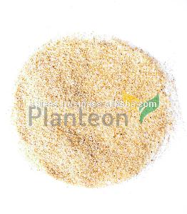 Garlic granules G1 40-80 mesh (air dried) - Allium sativum