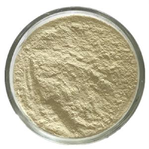 Factory Wholesale Garlic Powder  Without Cardamon
