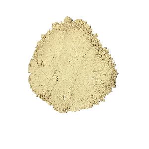TOP Quality 100% Pure AD Shiitake  Mushroom Powder For Food Cooking