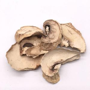 Wholesale Washed Dried  Mushroom  Slices Dried Champignon Factory supply