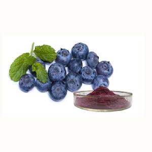 Wholesale high quality 25% Anthocyanin wild blueberry extract fruit powder