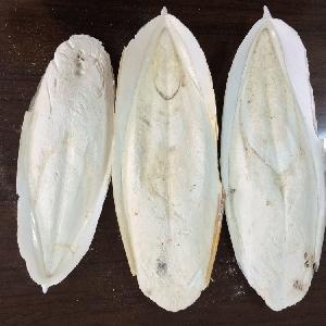 Mo yu gu wholesale feed grade  Calcium  supplement bird cuttlefish bones dried