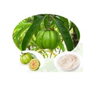100% Natural garcinia cambogia hca 95% extract hydroxy citric acid powder