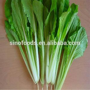 Xiao Bai Cai Small Cabbage Seeds Vegetable Plants Seeds Wholesale