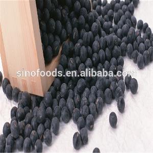 Ya Cai Wholesale Competitive Price Bean  Sprout s  Seed s