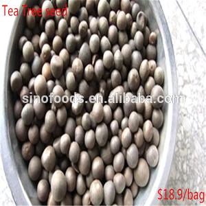 Cha Shu Natural Best Price Tea Plant Seeds