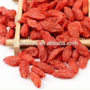 Gou Qi Bottom Price Diabetes Herbal Medicine  Chinese   Wolfberry 