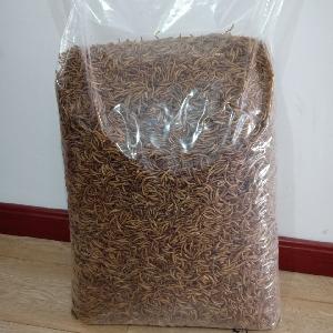 Paradise Food Yellow Mealworm Powder Insect Powder