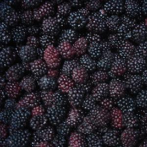 Grade-A frozen fruit Freeze dried blackberry