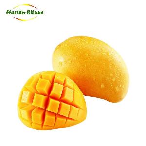 Wholesale bulk IQF delicious frozen mango Chinese fruit