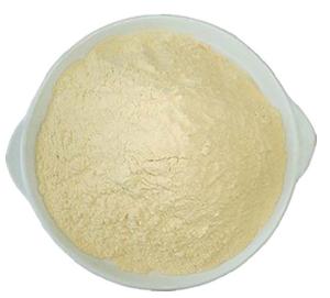 Wholesale high quality nutrition enhancers organic pea protein powder