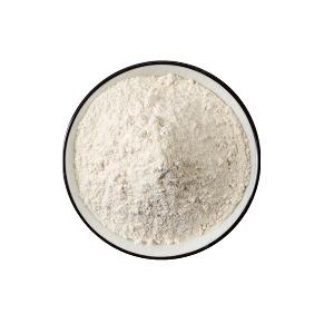 Food Grade Preservative Nisin