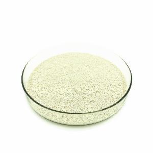  Lipase   Enzyme 