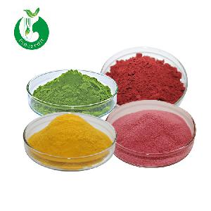 Chinese Organic Pure Food Grade Vegetable Juice Powder