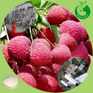 Best Buy Delicious Lychee Juice Powder