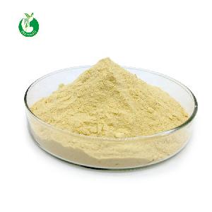 Astragalus Root P.E / astragalus extracts / 0.3% Astragaloside IV