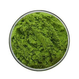 GMP manufacturer organic wheat grass powder wheat grass juice powder