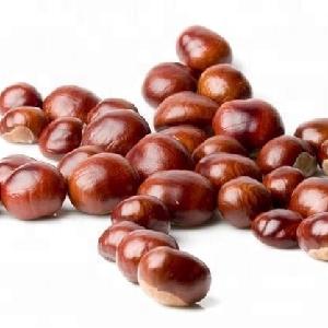 Hot sale high quality new crop Dandong fresh  Chinese   Chestnut 