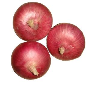  Fresh   Onion  Markket  price  fro yellow  onion  and  lowest   price   fresh   red   onion 