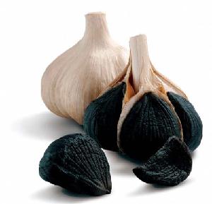 fermented black garlic from Chinese exporter 2020 best quality