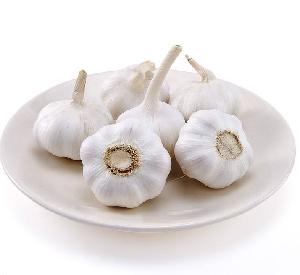 Whole sale   garlic  China/ planted  garlic / wild  garlic  hot  sale 