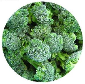 IQF Frozen Broccoli
