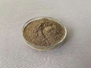 sea buckthorn protein powder