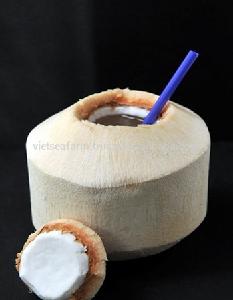 Supply Fresh Coconut with low price - high quality