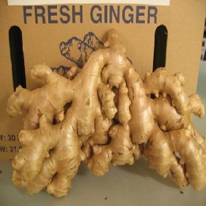 fresh, cheap, quality buffalo ginger from Vietnam