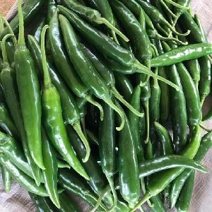 Fresh Green Chili from VietNam for export 2020