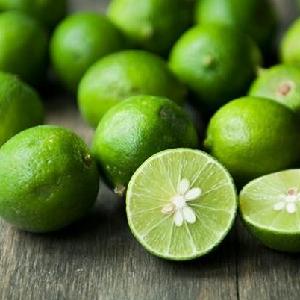 Fresh Seedless Lime with good price