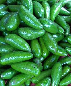 Fresh Avocado with Competitive Price - Export 2020