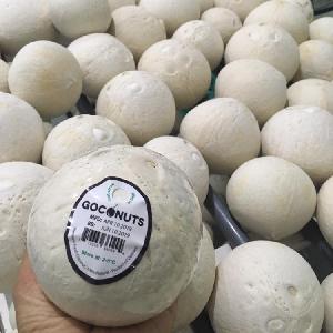 Fresh Young Coconuts without Shell - Special Price in Vietnam
