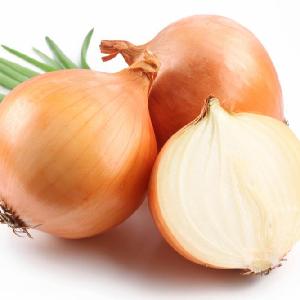 VIETNAM ONION WITH THE BEST PRICE AND HIGH QUALITY!!!