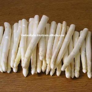 The Best Price For White Asparagus - Good For Health