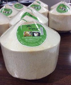 Fresh Coconuts - Best Price