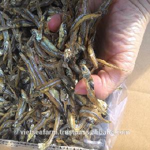 Dried Anchovy for export in Vietnam/high quality/best price