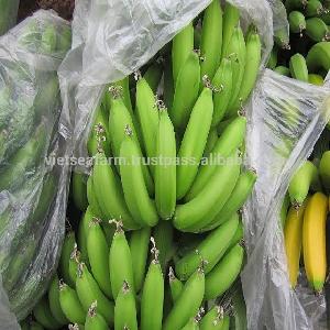 Hot !!! Big Sale Banana for export