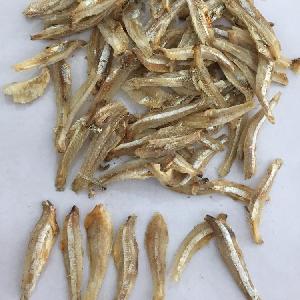 HOT NEW!!!!!! White Boil Dried Anchovy (Split Apart) with BEST PRICE!!!!
