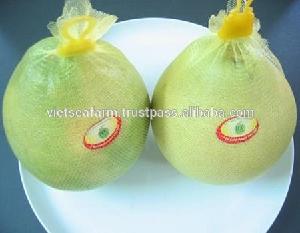Fresh Green/Yellow Sweet Pomelo origin in Vietnam