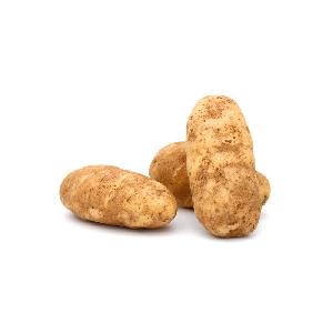  US  Grown  Potato es BAKERS Fresh BULK Robinson Fresh MOQ 50-60 COUNT Quick Delivery in  US 