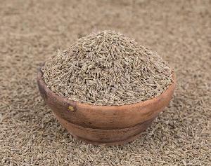 Premium Quality Brown CUMIN SEEDS with Best Price