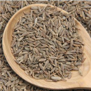 European Quality 99.5 % Purity Indian Cumin Seeds From Unjha