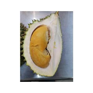 High Hill Sweet Flesh D13 Golden Bun Whole Durian Wholesaler in Malaysia