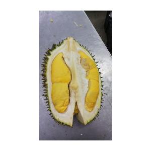 Preserved Frozen Whole  Durian  D101 Low Price Wholesale Supplier in Malaysia