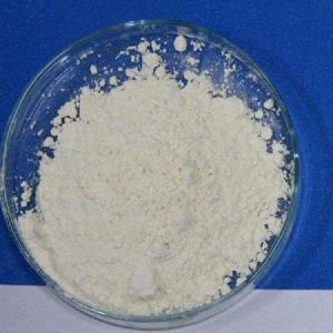 Cheese Preservative Natamycin USP Price
